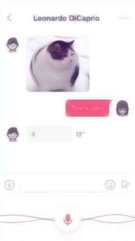 DDOS压力测试网页端软件程序维护界面